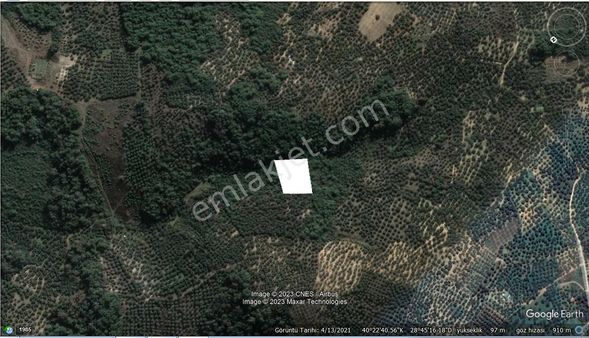 Tırpan Gayrimenkulden Mudanya Halilbey'de 2.450m2 Satılık Zeytinlik