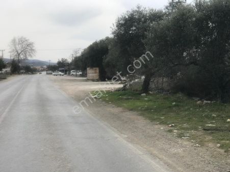 Sabri Pınarbaşı 'dan Zeytinli 'de Yola Sıfır 1996 M2 Satılık Konut İmarlı Arsa