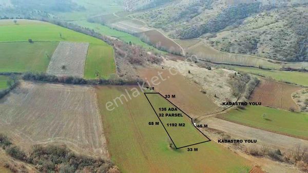 Bursa Yenişehir Subaşı Mahallesin'de Satılık Tarla