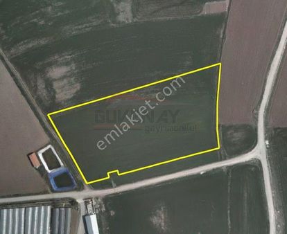 Güvenay- Çorum Bayat Gediğinde İmara Sınır 11,5 Dönüm Satılık Tarla