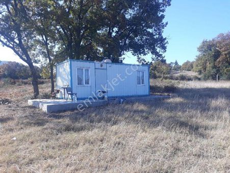 Lapseki Umurbeye 9 Km 42 Dönüm Tarla