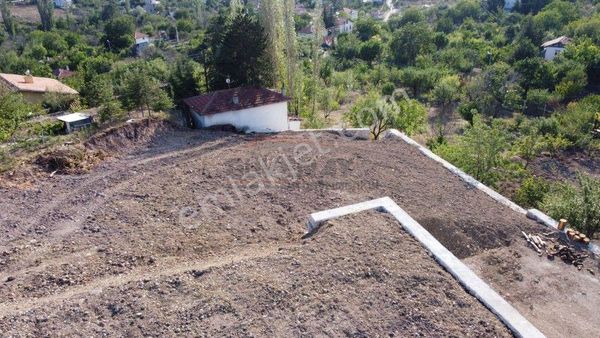 Güvenay - Çorum Ayarık Bağları 1 Dönüm Satılık Bağ