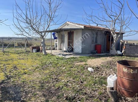 Çanakkale Ezine Mahmudiyede Bağ Evi Olan Satılık Ceviz Bahçesi