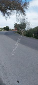 Rose Emlak 'tan Satılık Kupon Arazi