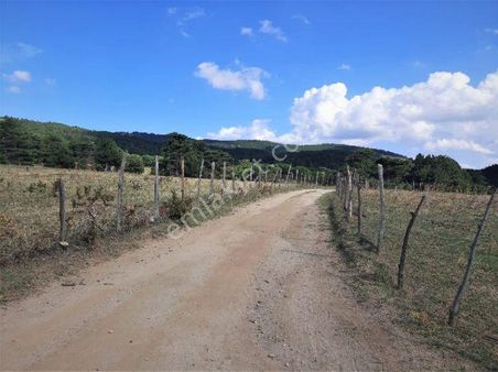 Yatırım Tavsiyeli Sıcak Asvalta Sıfır Tarla