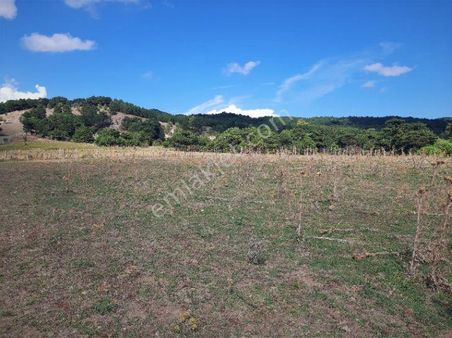 Yatırım Tavsiyeli Satılık Tarla