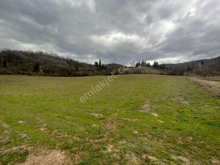 Kocaeli Karamürsel Akçat'da Doğa İçerisinde 13271m2 Satılık Tarla