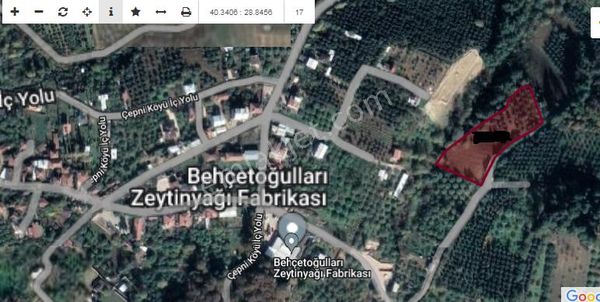 Çepni Köy İçi Satılık Bahçe