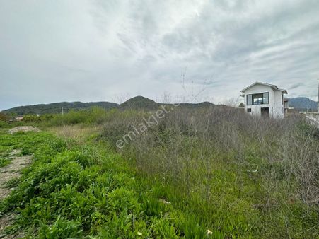 Muğla Ortaca Fevziye De 306 M2 Arsa Satılık