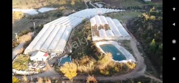 Arkadaş İnşaat Emlaktan Kumluca Merkez Yakın Satılık Müstakil Sera