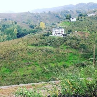 Trabzon Akçaabat Derecik Mahallesınde Satılık Arsalar Yıldız Emlakdan