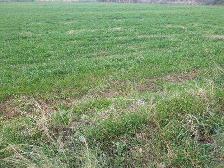 Kelepir Fiyata Kaçırılmayacak Yatırımlık Tarla