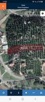 Acelesatílík Zeytinlik 2500 Metrekare Foça Ilįpínar