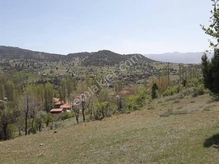 Seydikemer Yayla Çobanisada Doğa İçinde Yatırımlık 981m2 Tarla