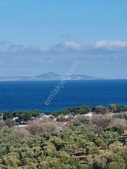 Ayvacık Kösedere Köyünde 9850 M2 Ada Ve Deniz Manzaralı Tarla