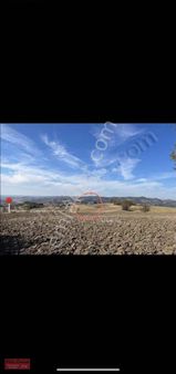 Bu Fiyatta Süper Arazi