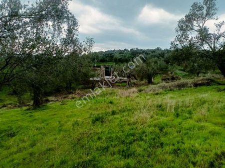 Kelepir Fiyata Kaçırılmayacak Yatırımlık Villalık Arsa