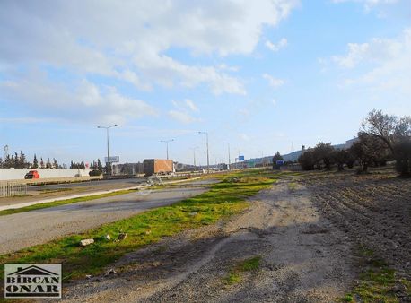 Aliağa-menemen Ana Yolu'na Cepheli Tarla Nitelikli Süper Arazi