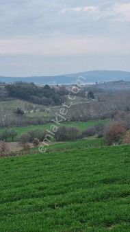 Han Emlak Otomotiv'den Musaköy'de 28.5 Deniz Manzaralı Tarla