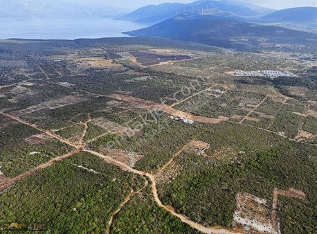 Didim Bozseki De Satılık Ful Manzaralı Arsa