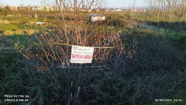 Satılık 4/adet Arsa Çarşamba Batıyaka Umut Mah Sapagında