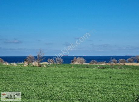 Ayvacık Kösedere Köyünde 10500 M2 Deniz Ve Ada Manzaralı Tarla