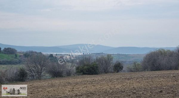 Han Emlak Otomotivden Musaköyde 28.5 Dönüm Denız Manzaralı Tarla