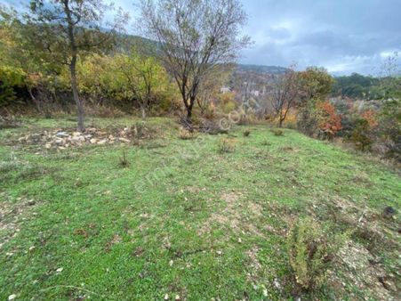 Özdemir Gayrimenkulden 300 M2 Hobi Bahçesi Yer