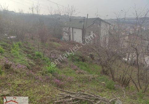 Kdz Ereğli Net Emlak Tan Elmatepe Mh. İnallida Satılık Arsa