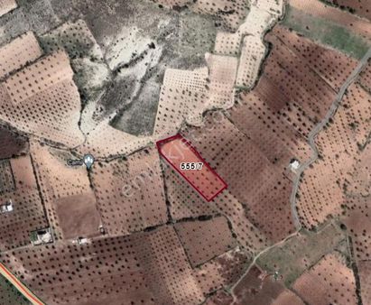 Aytekin Gayrimenkulden Satılık Zeytinlik