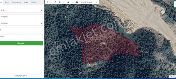 Aydın Yenipazar Donduranda Satılık Zeytinlik