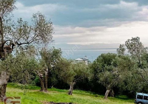 Kelepir Fiyata Kaçırılmayacak Yatırımlık Villalık Arsa