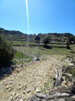 Fethiye Karaağacta 640m2 Satılık Arazı Yolu Var Su Elektrik Yakin