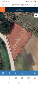 Sakarya Adapazarı Kandıra Pelitpınarı Asfalt Kenarı Yol Cephesı G3nıs Yatırımlık Arazı