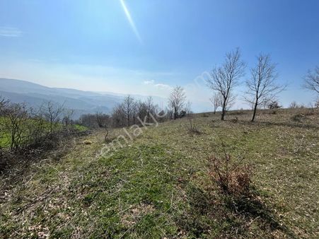 Kocaeli Karamürsel Fulacık 4432 M² %5 İmarlı Kaçmaz Satılık Tarla