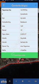 Ayvacık'ta Yatırımlık 5 Dönüm Zeytinlik..