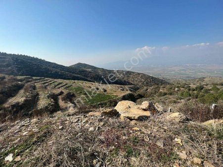 Aydın Yenipzar Satılık İncirlik