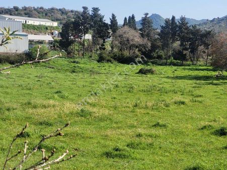 Tarla Vasfında Satılık Arazi