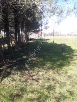 Görgülü Emlaktan Çaltıda Satılık Tarla