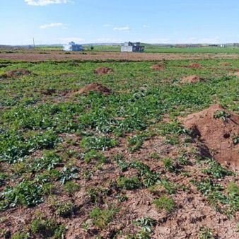 Akziyaret Emlak Tan Satılık Parsel