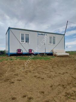 Tekirdağ Süleymanpaşa Gayrimenkulden Satılık Banarlı Mah 7700m2 Cevizlik İçinde Konteyner Kamelya