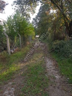 Müjgan Emlaktan Köyçeğiz Toparlar Mah. Satılık Tarlalar