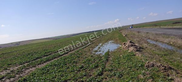 Tekirdağ Hayrabolu Da %50 Peşin %50 Taksitle Satılık Arsa