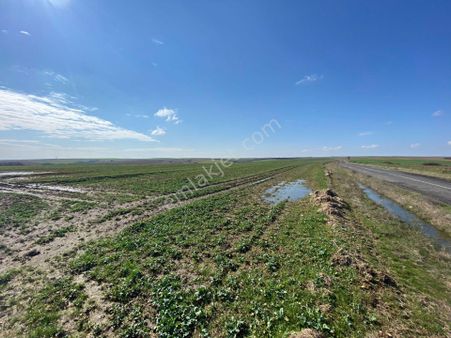 Tekirdağ Hayrabolu Da %50 Peşin %50 Taksitle Satılık Arsalar