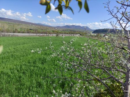 Konya Seydişehir Çavuş Mah Satılık Tarla 8.550 M2 Petrol Yeri Konya Antalya Üzeri Yol 30 Metre