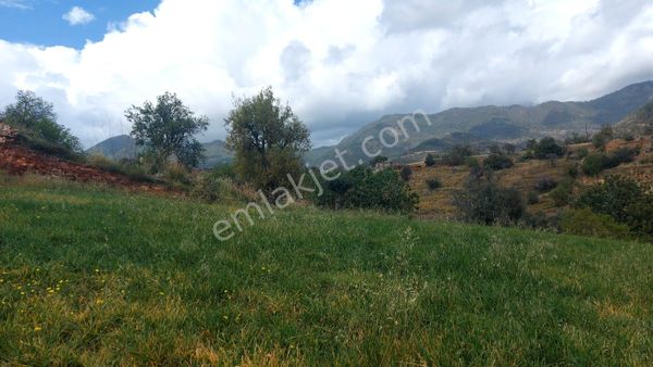 Anamur Demirören (melleç) Köyü'nde Antalya Mersin Karayolu Kuzeyinde Yola Sıfır Satılık Tarla