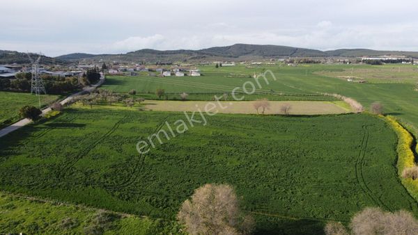 İzmir Foça Ilıpınar Da Satılık Tarlalar