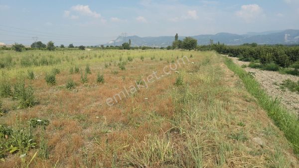 Denizli/çameli/arıkaya Köyü Mahallesi İçi Arsa Vasıflı Yanyana İki Tarla.(t.1)