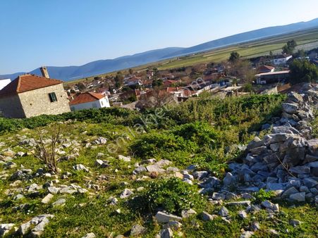 Serçin Köyü Söke De Satılık Eski Ev Ve Arsası