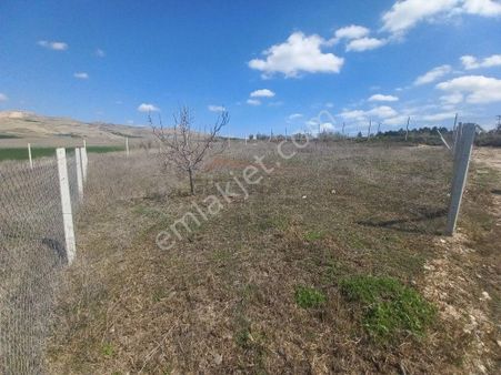 Güvenay - Çorum Cemilbey Yolu Üzeri Anayol Yanı Satılık Bahçe